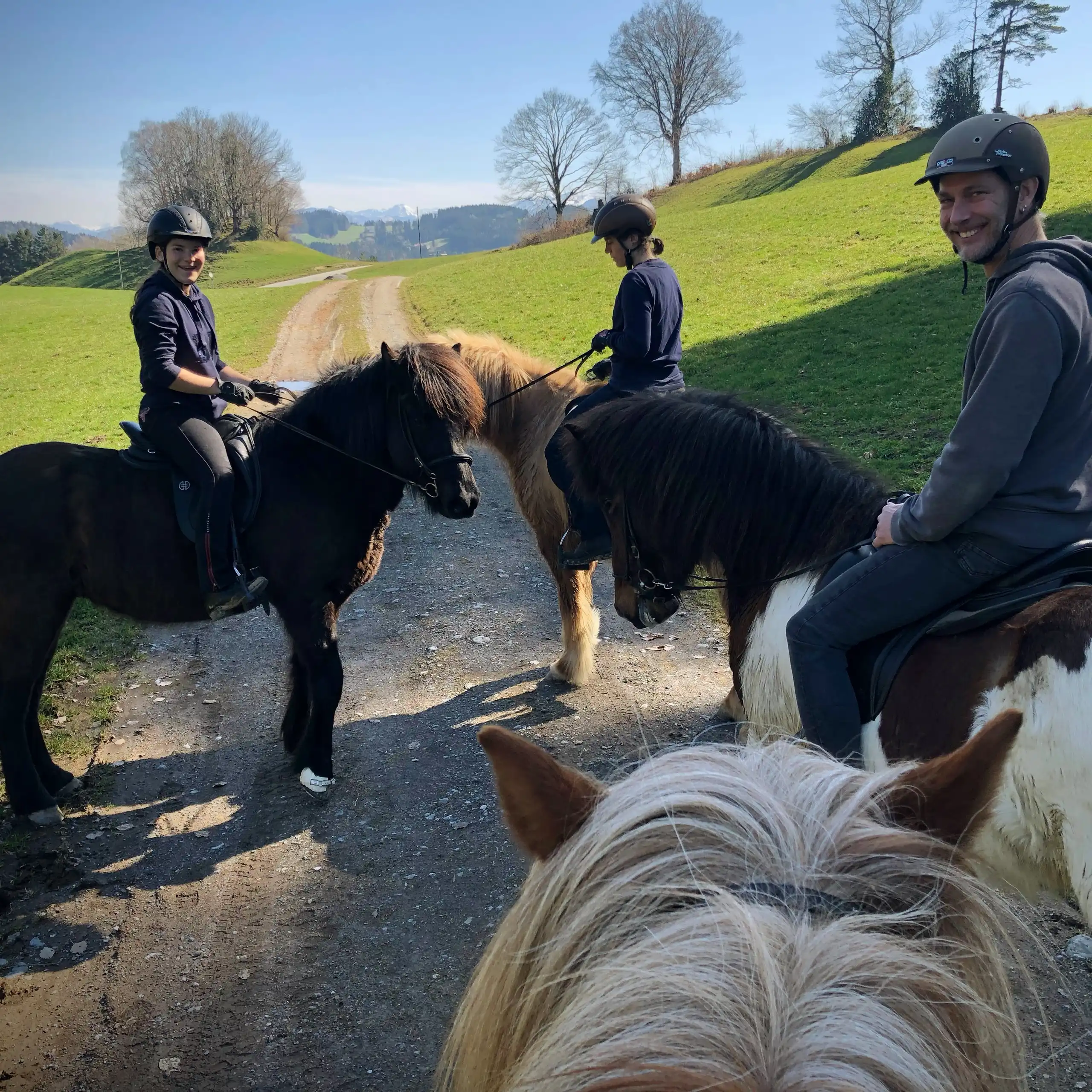 Begleiteter Ausritt oder Reitstunden